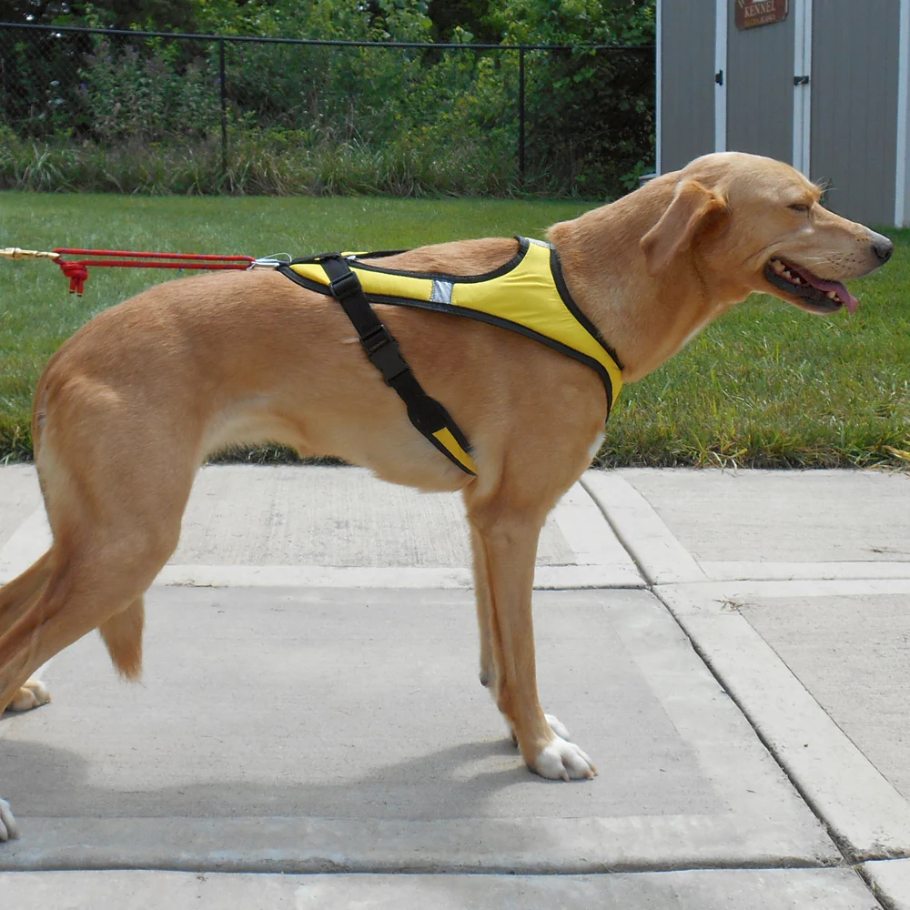 Harnesses